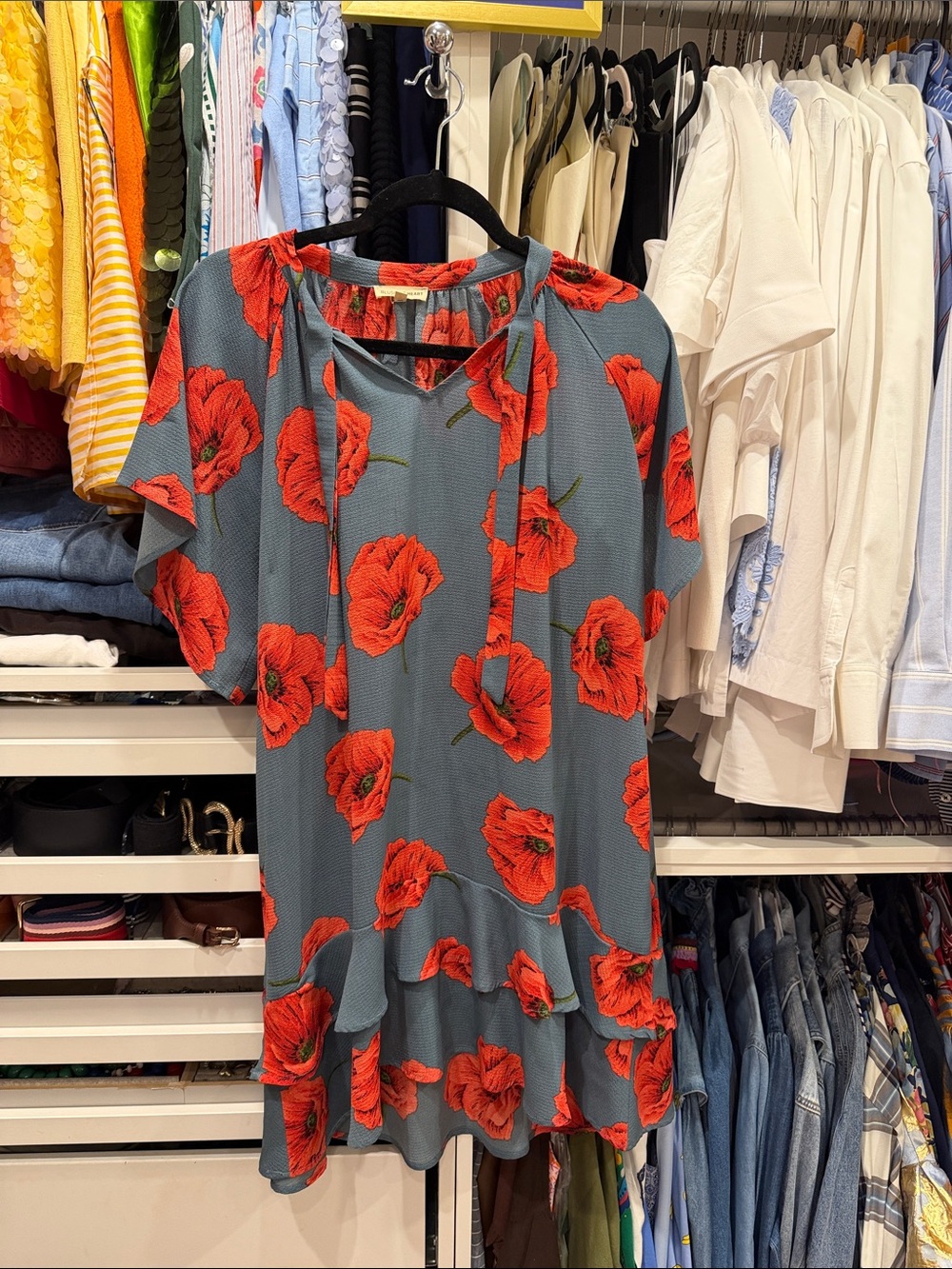 Blue Mini Dress with Red Floral Print and Tie Neck